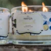 Vela Hafiza Lemoncello 750g - Image 5